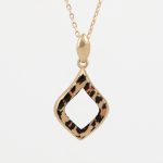 پلاک لئوپارد