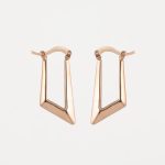 گوشواره آریانا